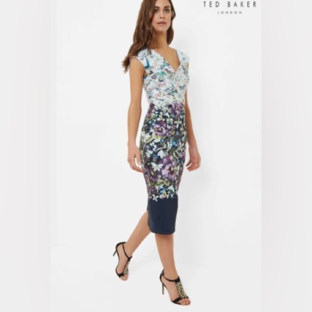 Ted Baker London Floral Butterfly Dress Brynee Focus Bouquet | Size 3
